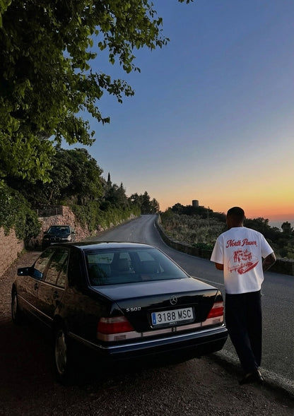 North Power - TEE